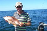 Cuda 2, South Africa Fishing Charters, Hermanus