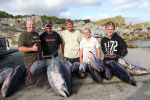 Cuda 2, South Africa Fishing Charters, Hermanus